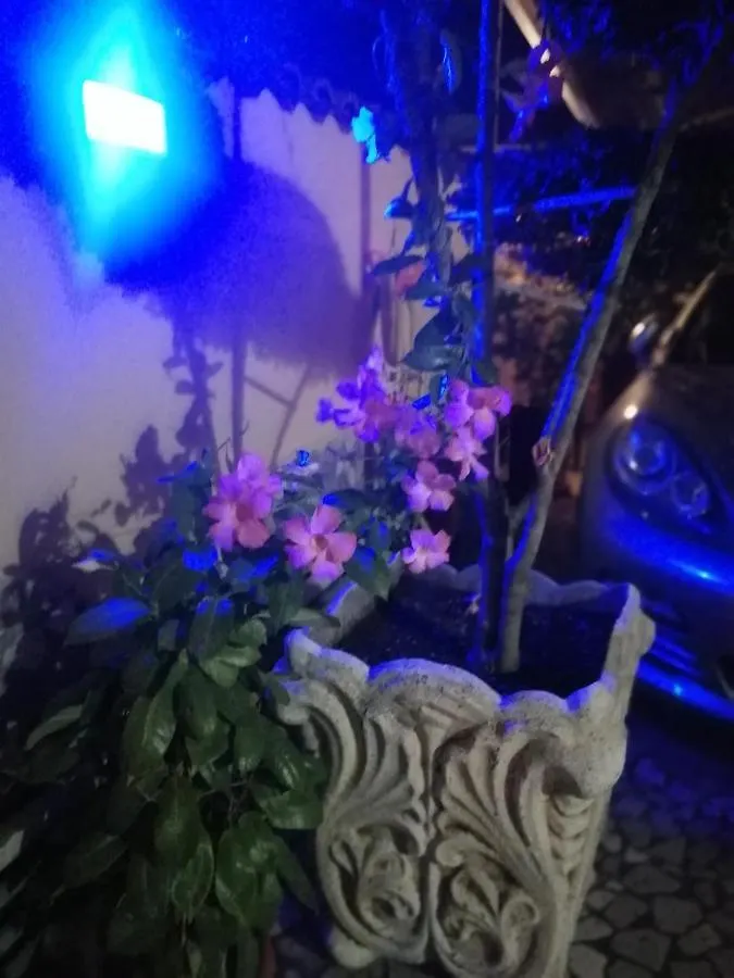 Eneahouse Hotel Fiumicino Guest house